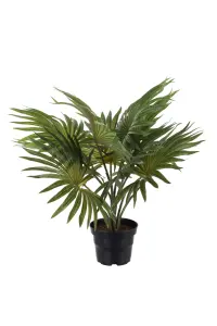Palme - Grønn - 35 cm - www.frokenfraken.se
