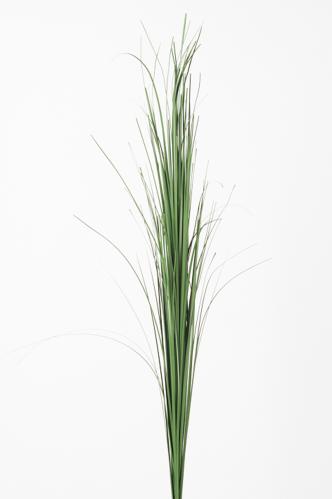 Grass - Green - 85 cm - www.frokenfraken.se