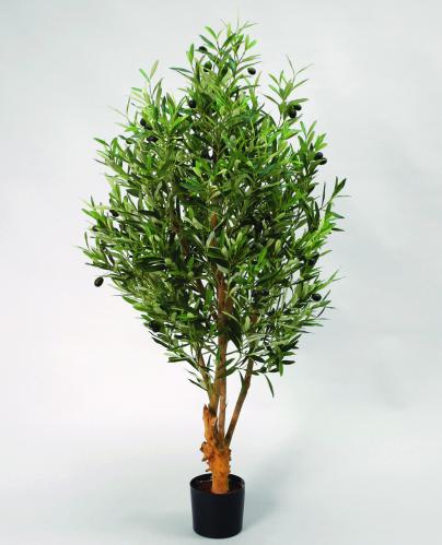 Olivtræd - 110 cm - www.frokenfraken.se