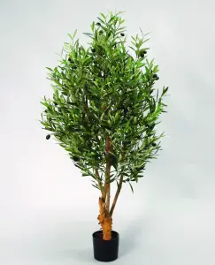 Olivtræd - 110 cm - www.frokenfraken.se