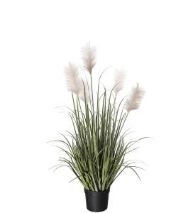 Gräs - Grønn - 130 cm - www.frokenfraken.se