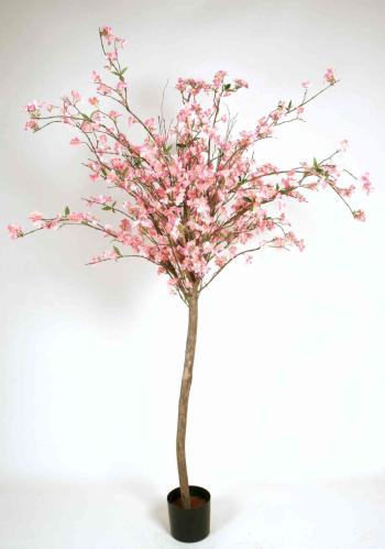 Kirsebærtre - 180 cm - Rosa - www.frokenfraken.se