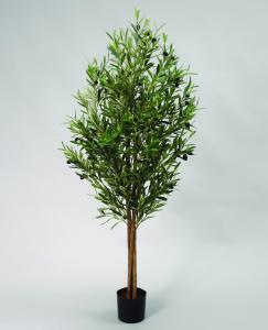 Olivträd - 110 cm - www.frokenfraken.se