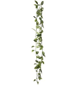 Gullranka girlang - Grønn - 350 cm - www.frokenfraken.se