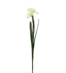 Iris - Gul - 68 cm - www.frokenfraken.se