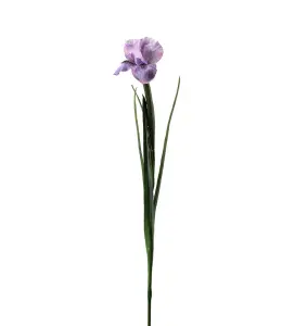 Iris - Lilla - 68 cm - www.frokenfraken.se