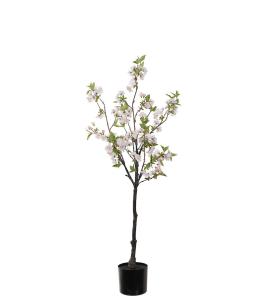 Kirsebærblomst - Rosa - 120 cm - www.frokenfraken.se