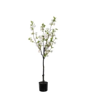 Kirsebærblomst - Hvit - 120 cm - www.frokenfraken.se