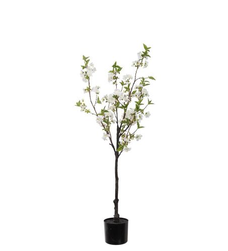 Kirsebærblomst - Hvit - 120 cm - www.frokenfraken.se