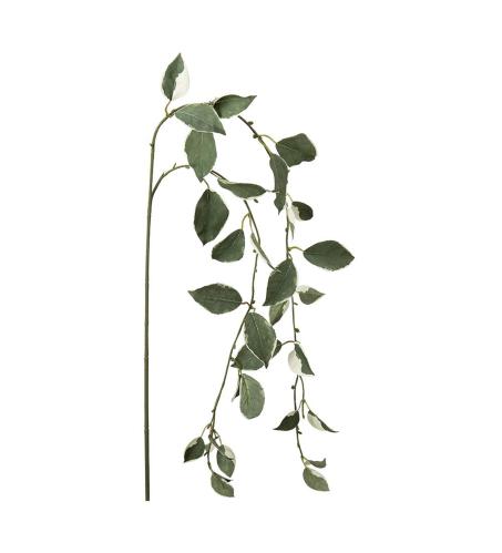 Kvist - Grønn - 50 cm - www.frokenfraken.se