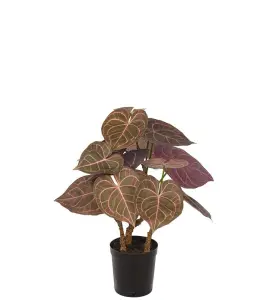 Anthurium - Grønn/rød - 60 cm - www.frokenfraken.se