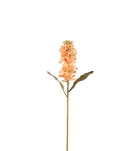 Lövkoja - Oransje - 53 cm - www.frokenfraken.se