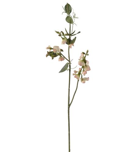 Luktärt - Persika - 69 cm - www.frokenfraken.se