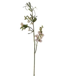 Luktärt - Rosa - 69 cm - www.frokenfraken.se