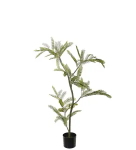 Mimosa Pudica - Grønn - 110 cm - www.frokenfraken.se