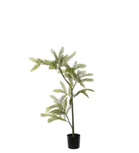 Mimosa Pudica - Grønn - 80 cm - www.frokenfraken.se