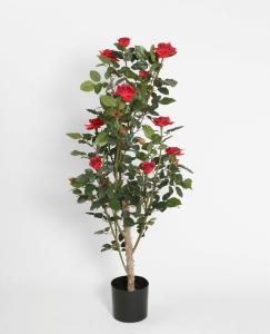 Rosenträd - Röd - 120 cm - www.frokenfraken.se