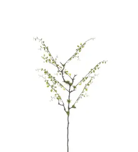 Muehlenbeckia - Grønn - 80 cm - www.frokenfraken.se