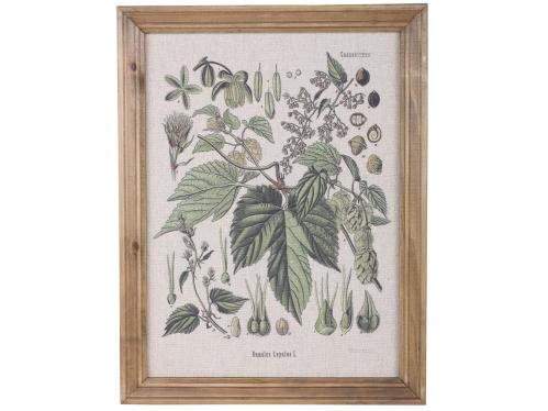 Tavle - Blomstermotiv - Med ram - 43 x 33 cm - www.frokenfraken.se