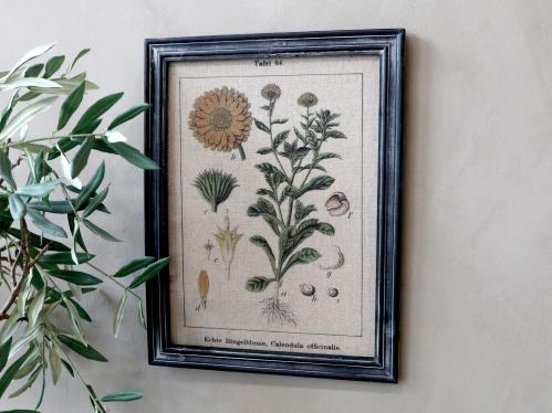 Tavle - Blomstermotiv - Med svart ram - 43 x 33 cm - www.frokenfraken.se