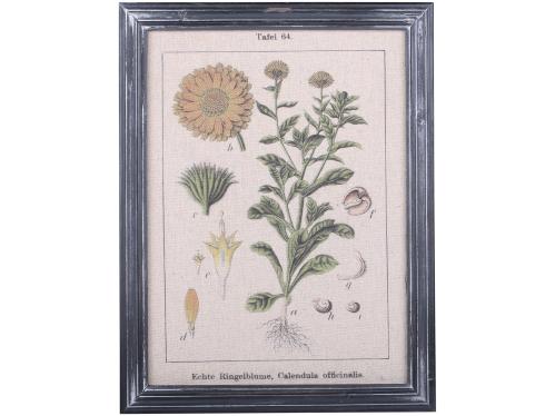Tavle - Blomstermotiv - Med svart ram - 43 x 33 cm - www.frokenfraken.se