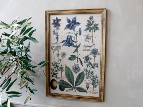 Tavle med ram - Planter - 60 x 40 cm - www.frokenfraken.se