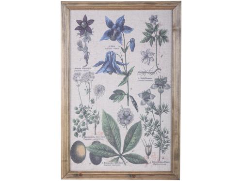 Tavle med ram - Planter - 60 x 40 cm - www.frokenfraken.se