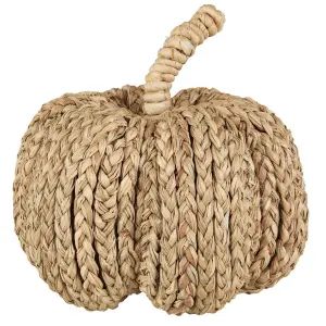 Pumpa - Dekorasjon - 18 x Ø20 cm - www.frokenfraken.se