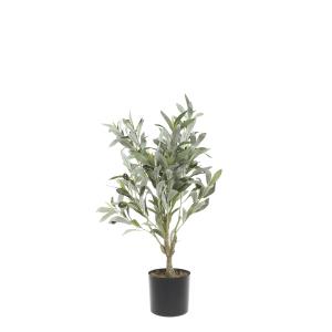 Oliventre – 73 cm - www.frokenfraken.se