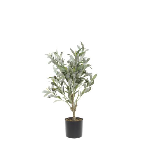 Oliventre – 73 cm - www.frokenfraken.se