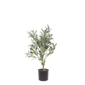 Oliventre – 73 cm - www.frokenfraken.se