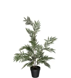 Ormbunke - Grønn - 70 cm - www.frokenfraken.se