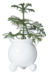 Krukke med kullføtter - Hvit - 15 x 20 cm - www.frokenfraken.se