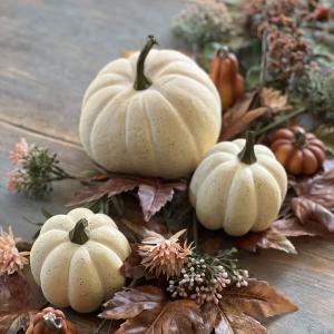Pumpa - Krem - 15 cm - www.frokenfraken.se