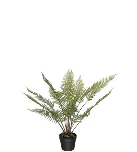 Ormbunke - Grønn - 75 cm - www.frokenfraken.se