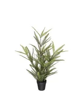 Ormbunke - Grønn - 80 cm - www.frokenfraken.se