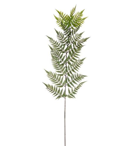 Ormbunksblad - Grønn - 180 cm - www.frokenfraken.se