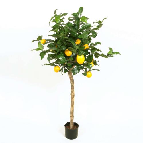 Citrusträd - Citron - Konstväxt - 110 cm - www.frokenfraken.se