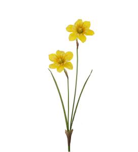 Påskelilje - Narciss - Gul - 58 cm - www.frokenfraken.se