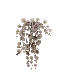 Peperomia - Grønn - 45 cm - www.frokenfraken.se