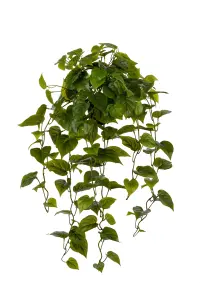 Gullranka - Grønn - 30 cm - www.frokenfraken.se