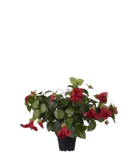 Petunia - Rød - 30 cm - www.frokenfraken.se
