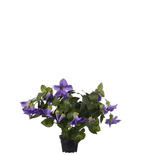 Petunia - Lilla - 30 cm - www.frokenfraken.se