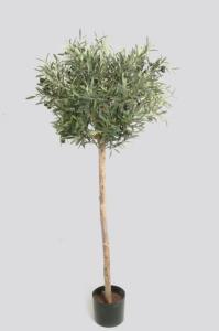 Olivtræd - 140 cm - www.frokenfraken.se