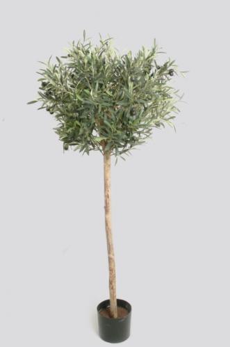 Olivtræd - 140 cm - www.frokenfraken.se