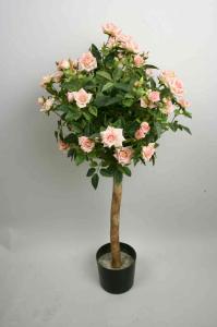 Rosenträd - Rosa - 80 cm - www.frokenfraken.se