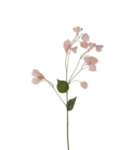 Physalis - Fersken - 85 cm - www.frokenfraken.se