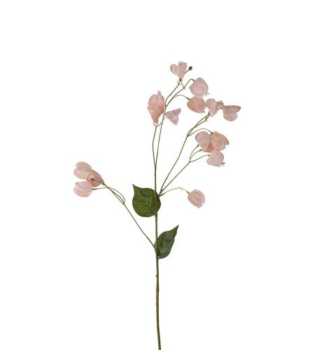 Physalis - Fersken - 85 cm - www.frokenfraken.se