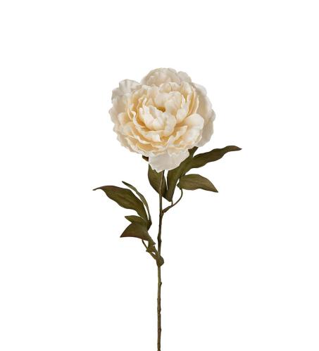 Pion - Krem - 65 cm - www.frokenfraken.se