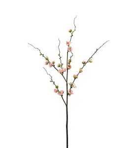 Plommeblomst - Rosa - 90 cm - www.frokenfraken.se